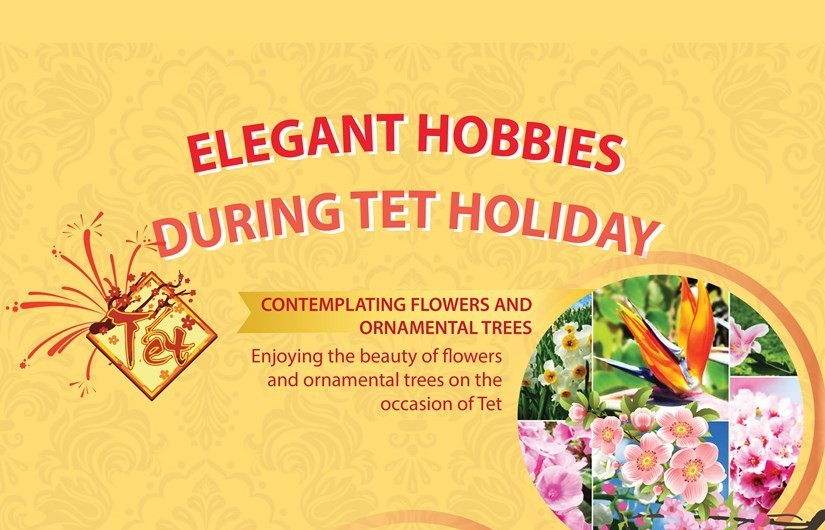 Elegant hobbies during Tet holiday