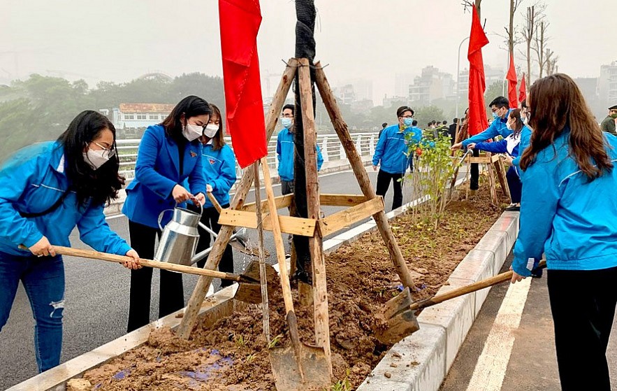 TP. Hà Nội đang nỗ lực trồng cây xanh nhằm cải thiện môi trường