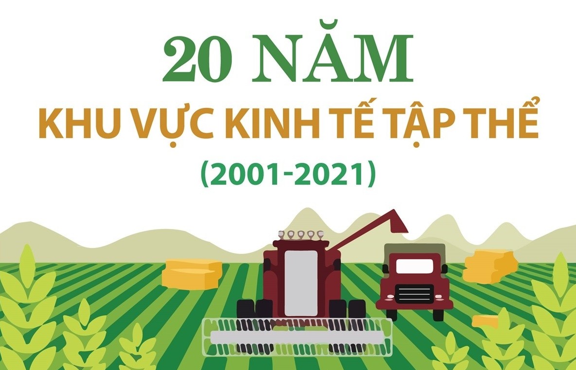 20 năm khu vực kinh tế tập thể
