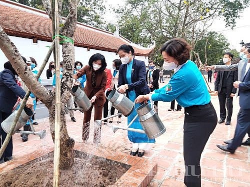 Phát động phong trào “Mỗi phụ nữ - một cây xanh”