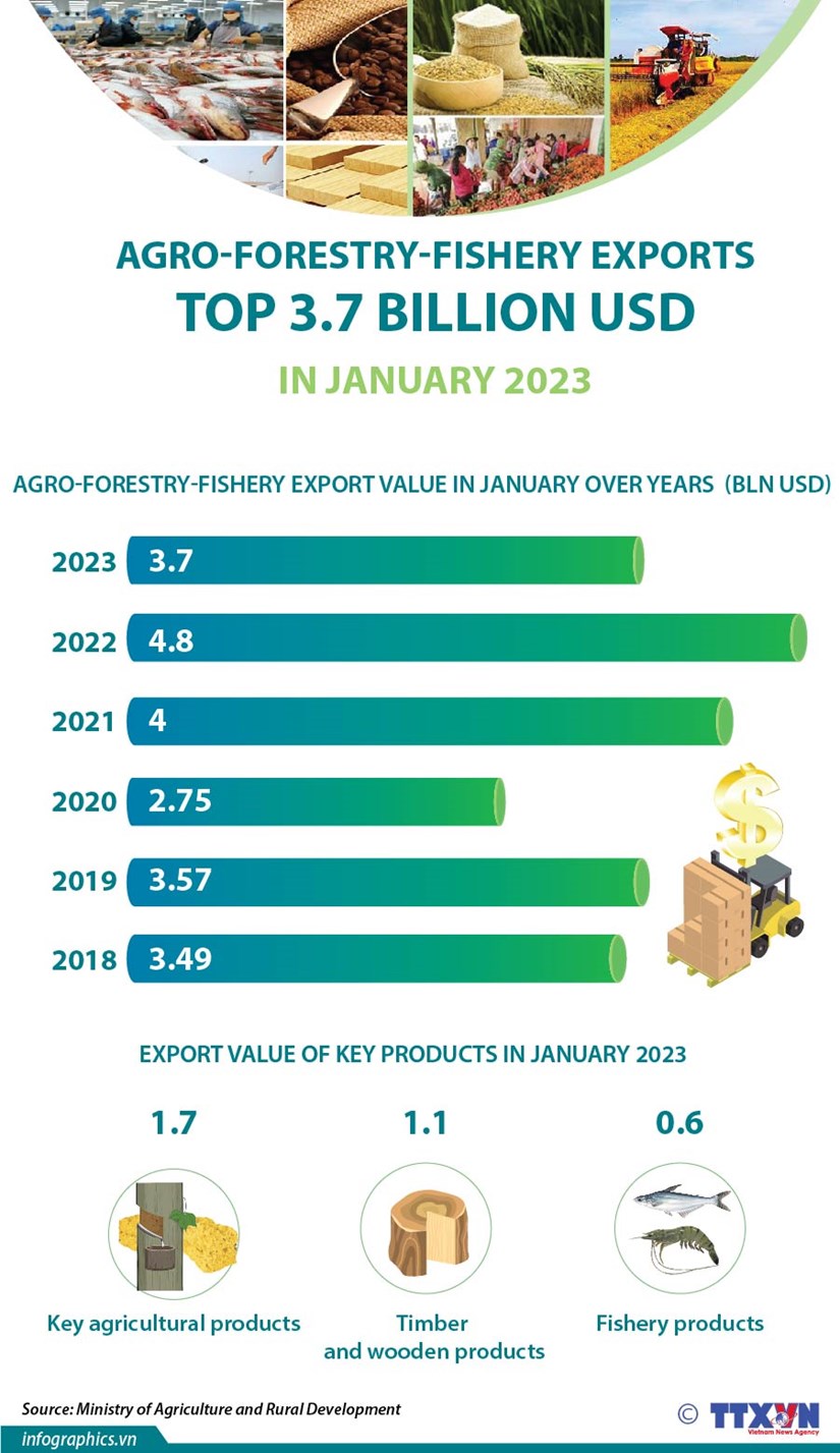 Agro-forestry-fishery exports top 3.7 billion USD in January hinh anh 1