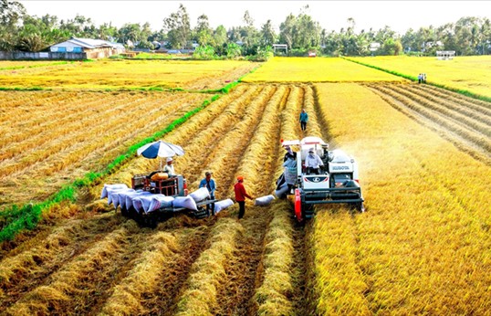 Agricultural sector targets attracting 25 billion USD in FDI by 2030