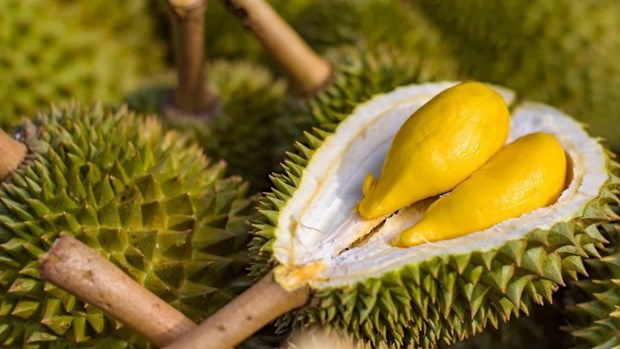 Insiders confident in earning 4 bln USD from fruit, vegetable exports hinh anh 2