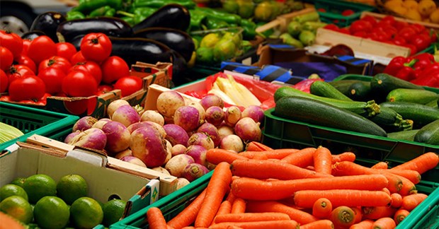 Insiders confident in earning 4 bln USD from fruit, vegetable exports hinh anh 1