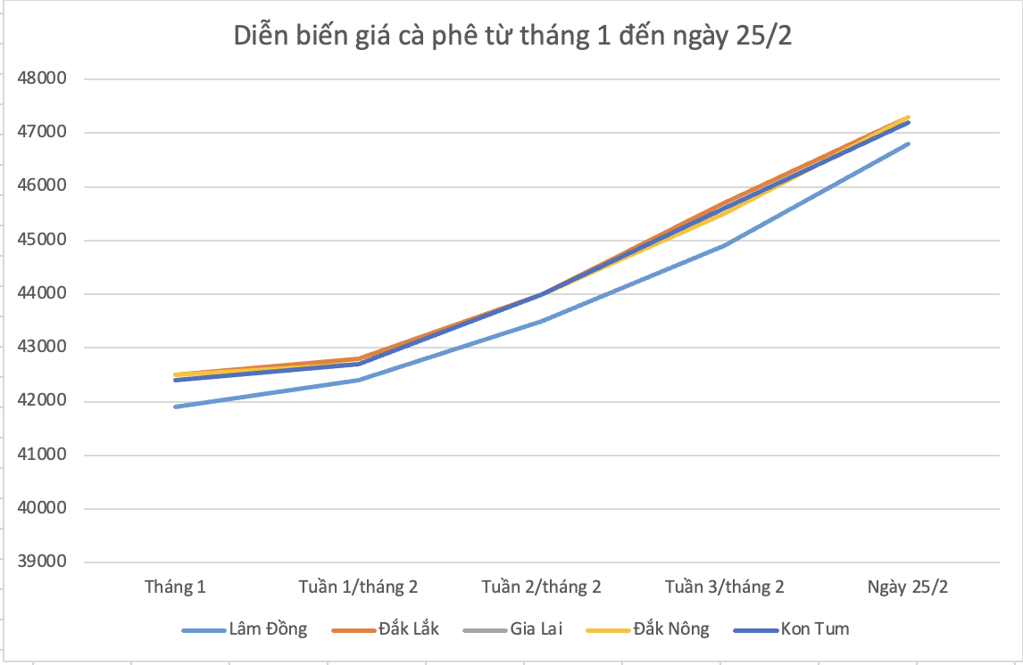 Ngày 25/2: Giá tiêu ổn định, cao su và cà phê giảm nhẹ