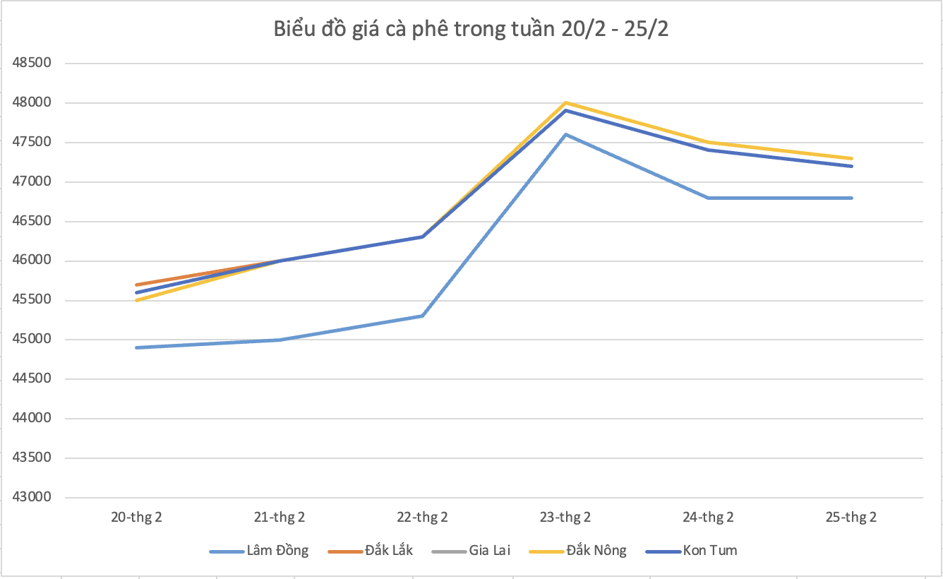 Ngày 26/2: Giá tiêu tăng 500 đến 1.000 đồng/kg, cà phê tăng gần 2.000 đồng/kg