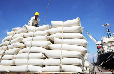 Tariff quotas for rice, dried tobacco leaves imported from Cambodia in 2022