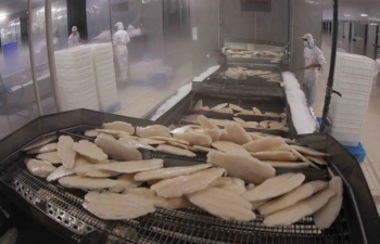 One more Vietnamese pangasius exporter to US enjoys zero tariff