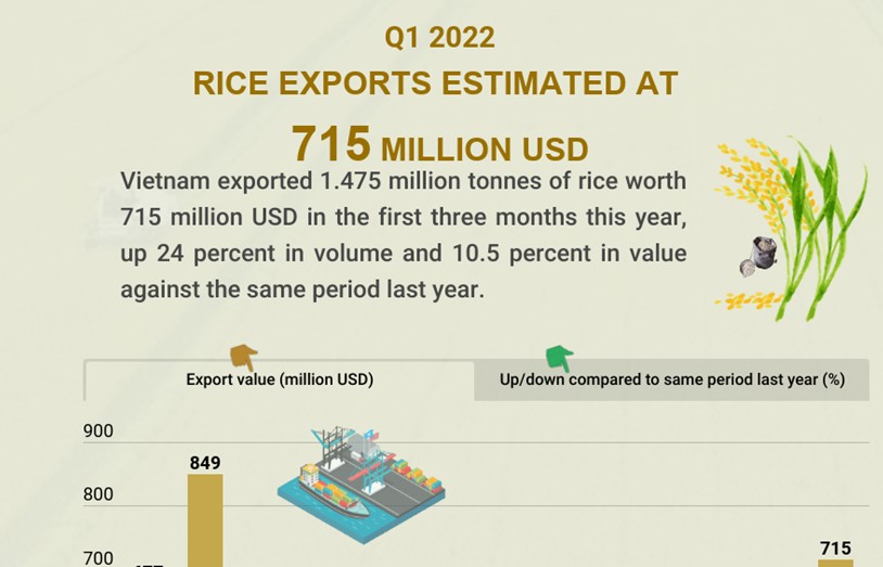 Rice exports estimated at 715 million USD in Q1