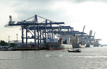 Growth target of 6.5 percent in 2022 reachable: Experts