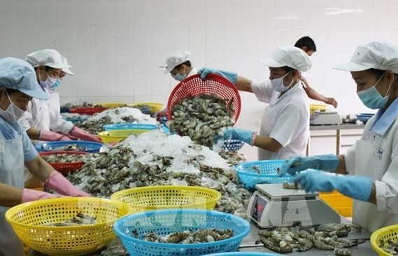 Vietnam enjoys high trade surplus in agricultural, forestry, aquatic exports