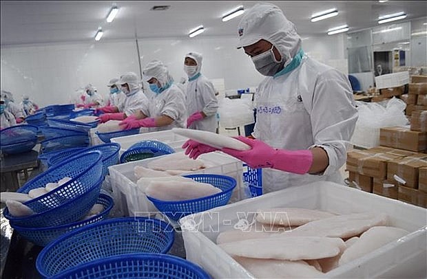 Vietnam yields 2.6 million tonnes of aquatic products in four months
