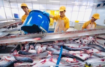 Pangasius exports to US enjoy record prices