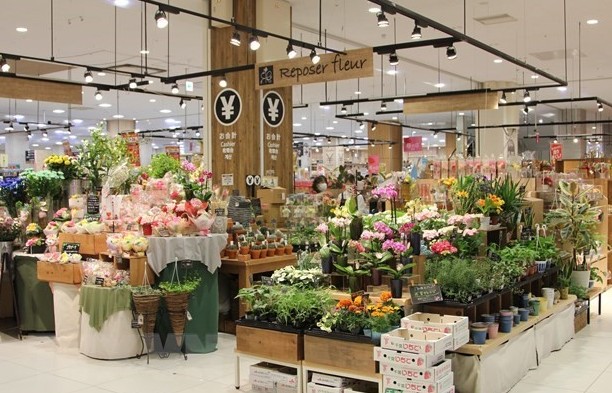 Vietnam’s flowers gain foothold in Japanese market
