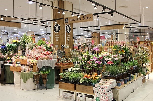 Vietnam’s flowers gain foothold in Japanese market