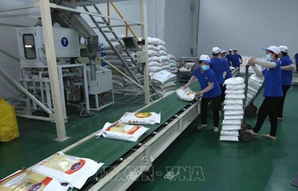 Rice exports to EU quadruple in Q1
