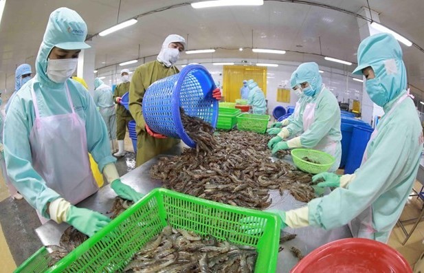 Vietnam’s seafood exports enjoy strong surge despite challenges