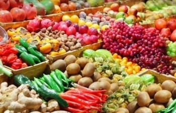 EVFTA helps push up Vietnam's spice, fruit, vegetable export to EU