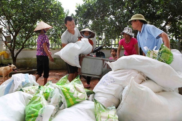 Rice aid to be delivered to the needy in Soc Trang, Nghe An hinh anh 1