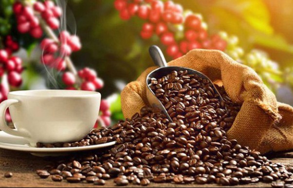 Coffee exports may record US$4 billion