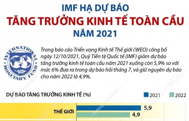 IMF hạ dự báo tăng trưởng kinh tế toàn cầu năm 2021
