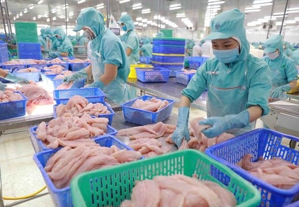 Vietnam’s aquatic product exports projected to reach 8.4 billion USD