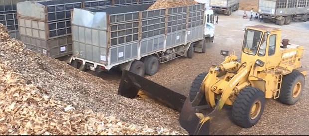 Exports of forestry waste products likely to rake in billions of USD hinh anh 2