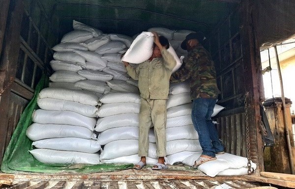 Government allocates over 478 tonnes of rice for Gia Lai province