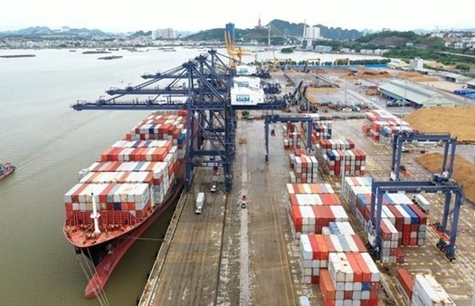 Vietnam, India likely to complete trade target this year: official