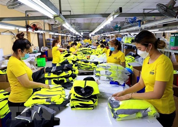 Vietnam, India likely to complete trade target this year: official hinh anh 2