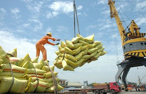 Rice export surges in first ten months