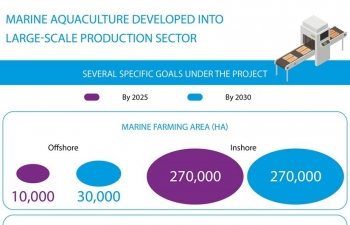 Marine aquaculture developed into large-scale production sector