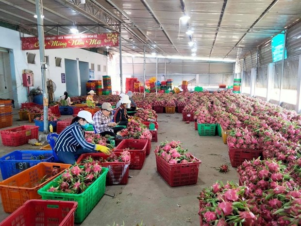 Agro-forestry-fisheries exports rise 13 percent in 10 months hinh anh 1