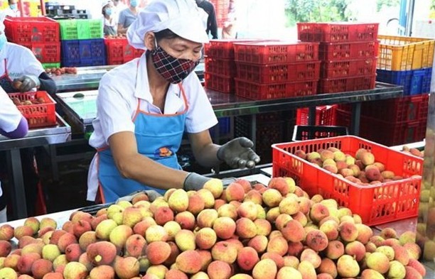 ASEAN market boasts opportunities for Vietnamese firms: official