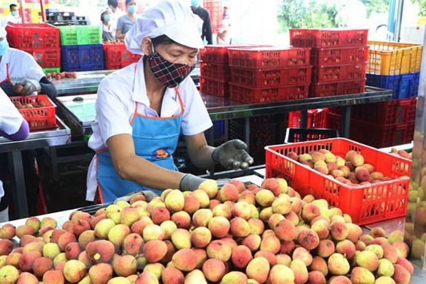 ASEAN market boasts opportunities for Vietnamese firms: official hinh anh 1