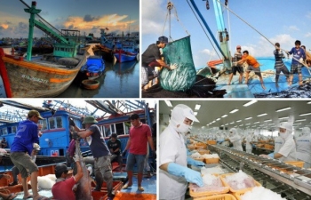 Viet Nam becomes world’s third largest seafood exporter