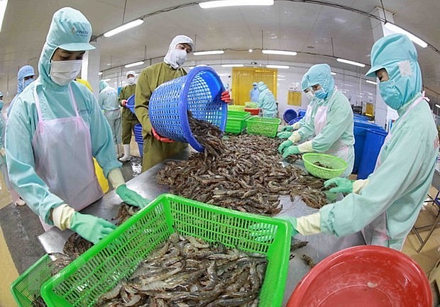 Vietnam ranks fifth among aquatic product exporters of Japan