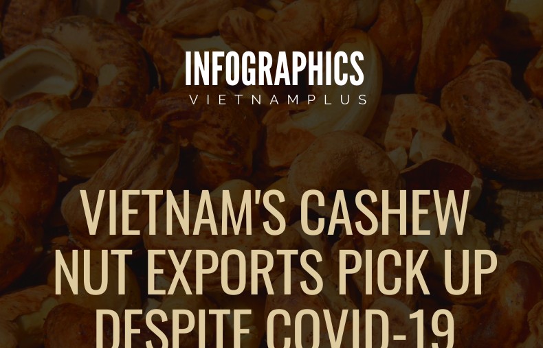 Vietnam's cashew nut exports pick up despite COVID-19