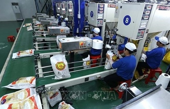 Export prices of Vietnamese rice world’s highest