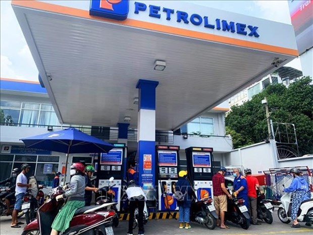 MoF propose fixed environmental fuel tax for an entire year hinh anh 1