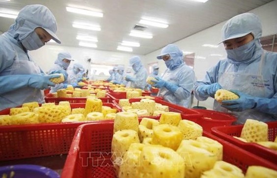 New records seen in agro-forestry-fishery exports in 2022