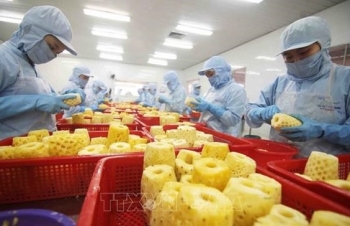New records seen in agro-forestry-fishery exports in 2022