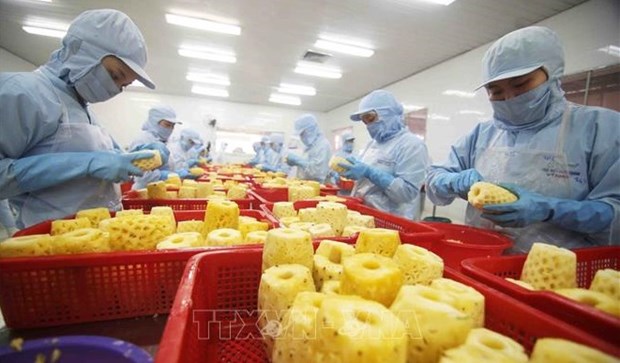 New records seen in agro-forestry-fishery exports in 2022 hinh anh 1