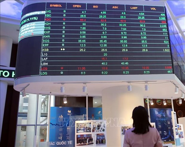 Drastic measures needed to develop sustainable stock market: Official hinh anh 1