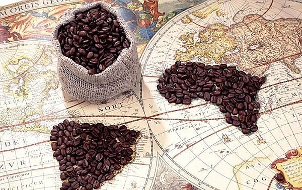 Giá cà phê ngày 14/1: Thị trường trong nước giảm mạnh 5.000 đồng/kg