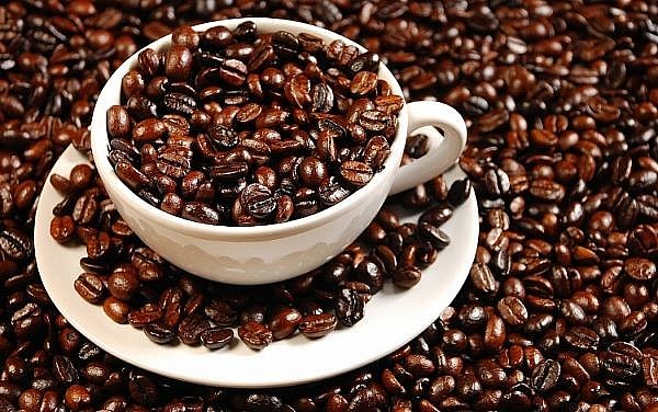 Giá cà phê hôm nay ngày 2/3: Giảm ở mặt hàng cà phê Robusta khi chiến sự lan rộng tại Ukraina