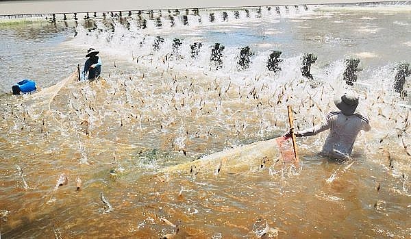 Xuất khẩu nông sản đầu năm khởi sắc, tạo đà tái cơ cấu nông nghiệp
