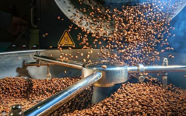 Giá cà phê hôm nay ngày 28/2: Giá cà phê Robusta liên tục giảm