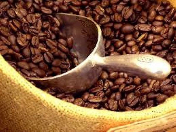 Giá cà phê hôm nay ngày 25/4 tại thị trường thế giới và trong nước đi ngang