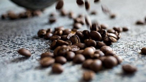 Giá cà phê hôm nay ngày 21/4: Robusta tăng trở lại khi nhu cầu vẫn còn cao